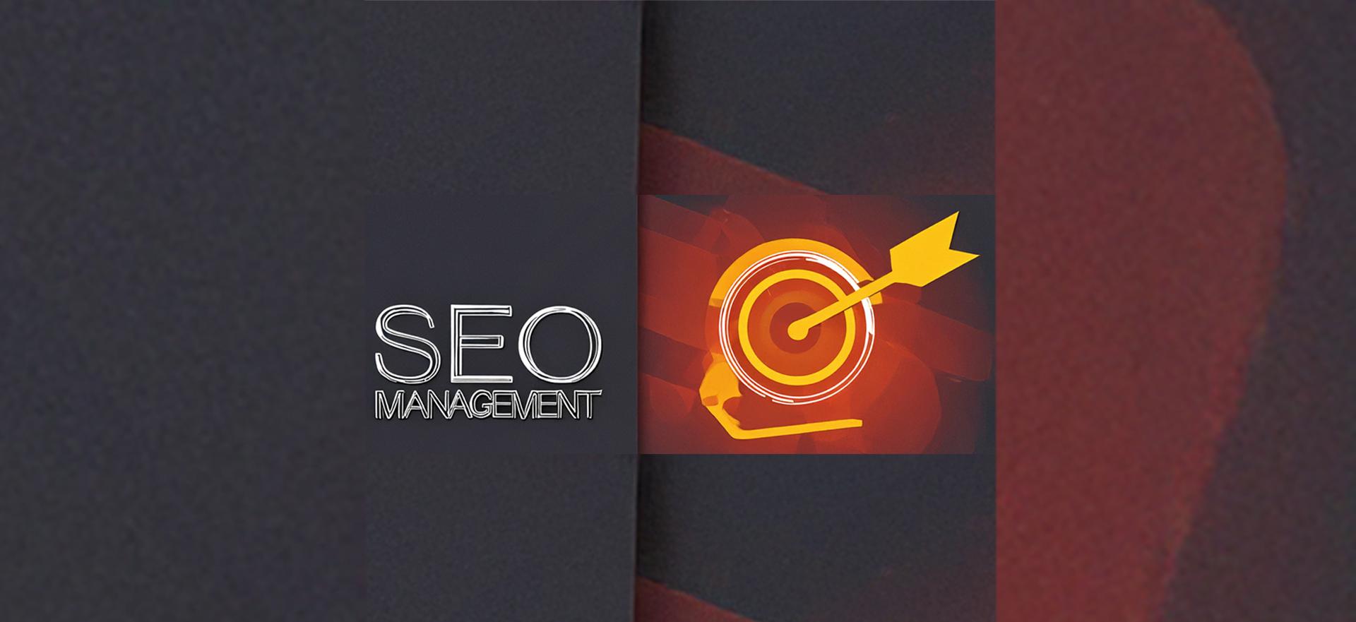 Seo Yönetimi